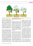 Vorschauseite 2: Blickrichtungswechsel leben lernen