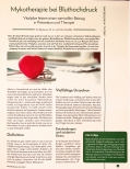 Vorschauseite 1: Mykotherapie bei Bluthochdruck: Vitalpilze leisten einen wertvollen Beitrag in Prävention und Therapie.