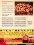 Vorschauseite 3: Mykotherapie bei Bluthochdruck: Vitalpilze leisten einen wertvollen Beitrag in Prävention und Therapie.