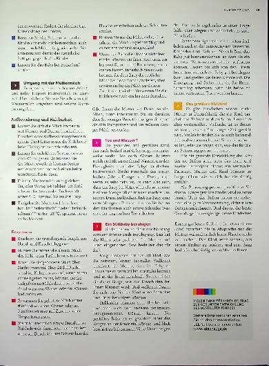 Vorschauseite 3: Infoblatt: Ein Stillkind betreuen