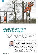 Vorschauseite 1: Schutz vor Unwettern und Störlichtbögen