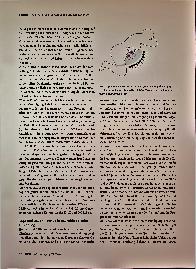 Vorschauseite 3: Fachkongress für Adipositas und Essstörungen. Gemeinsame Tagung der DAG und der DGESS 2023.