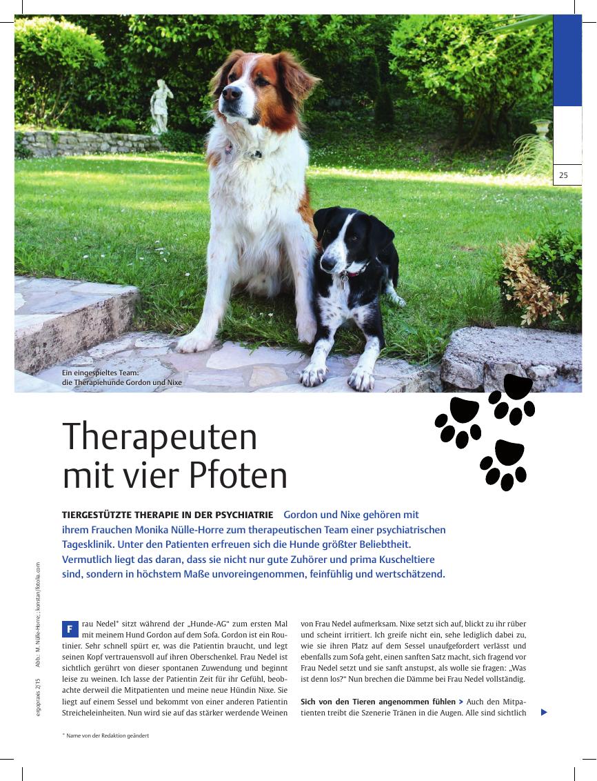Vorschauseite 1: Tiergestützte Therapie in der Psychiatrie ? Therapeuten mit vier Pfoten