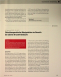 Vorschauseite 1: Chirotherapeutische Manipulation im Bereich der oberen Brustwirbelsäule