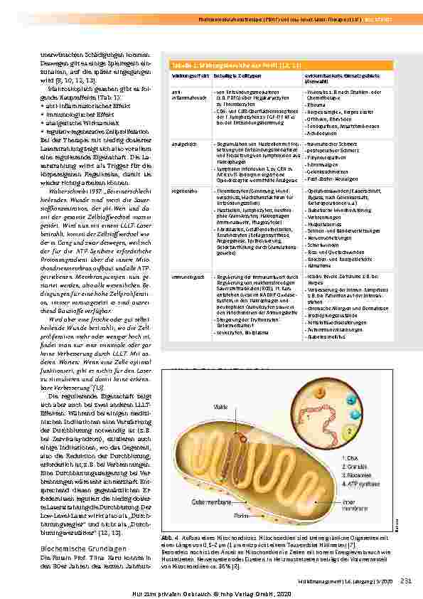 Vorschauseite 3: Photobiomodulationstherapie (PBMT) und Low-Level-Laser-Therapie (LLLT)