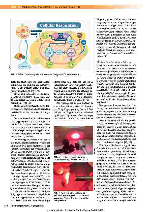 Vorschauseite 4: Photobiomodulationstherapie (PBMT) und Low-Level-Laser-Therapie (LLLT)