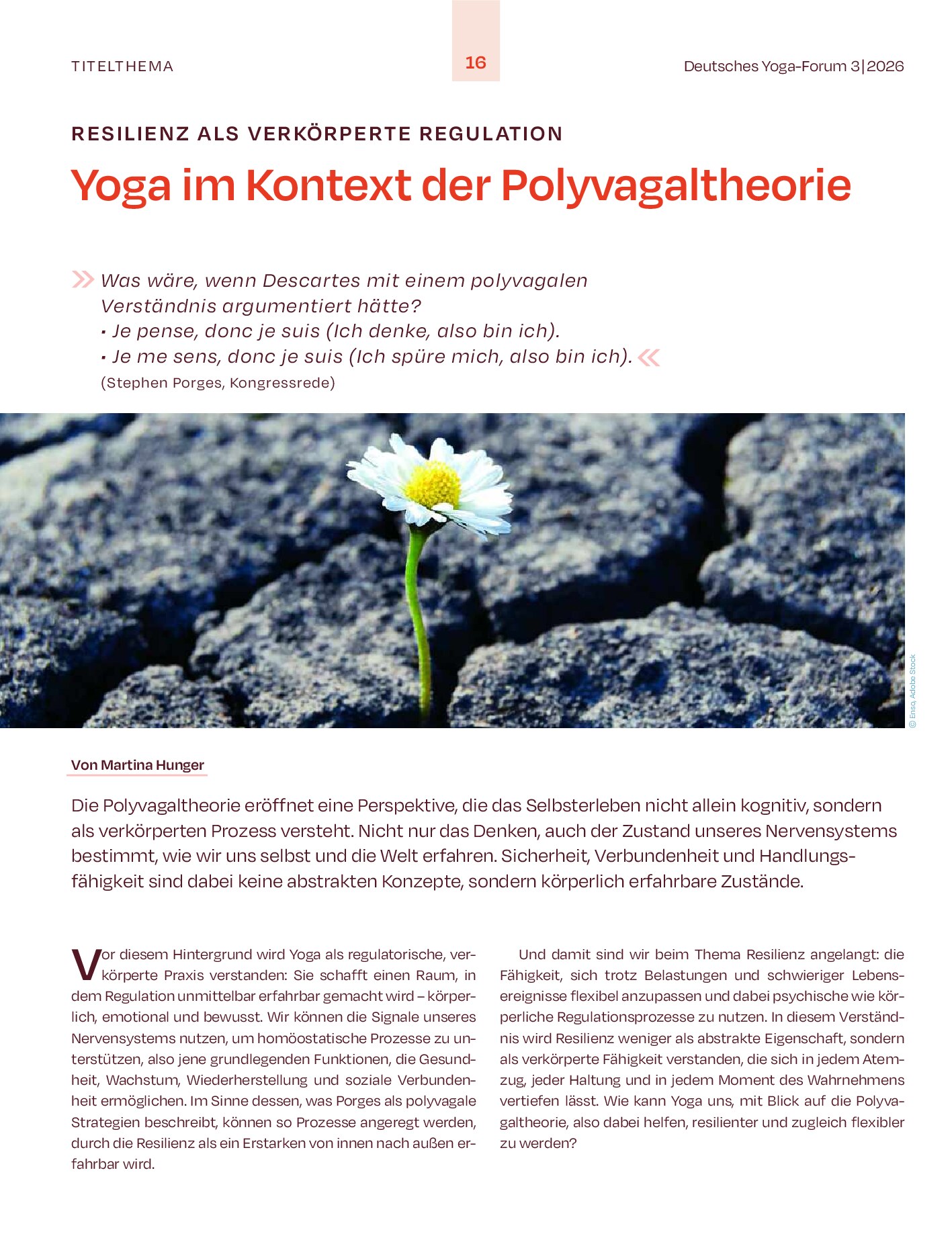 Vorschauseite 1: Yoga im Kontext der Polyvagaltheorie