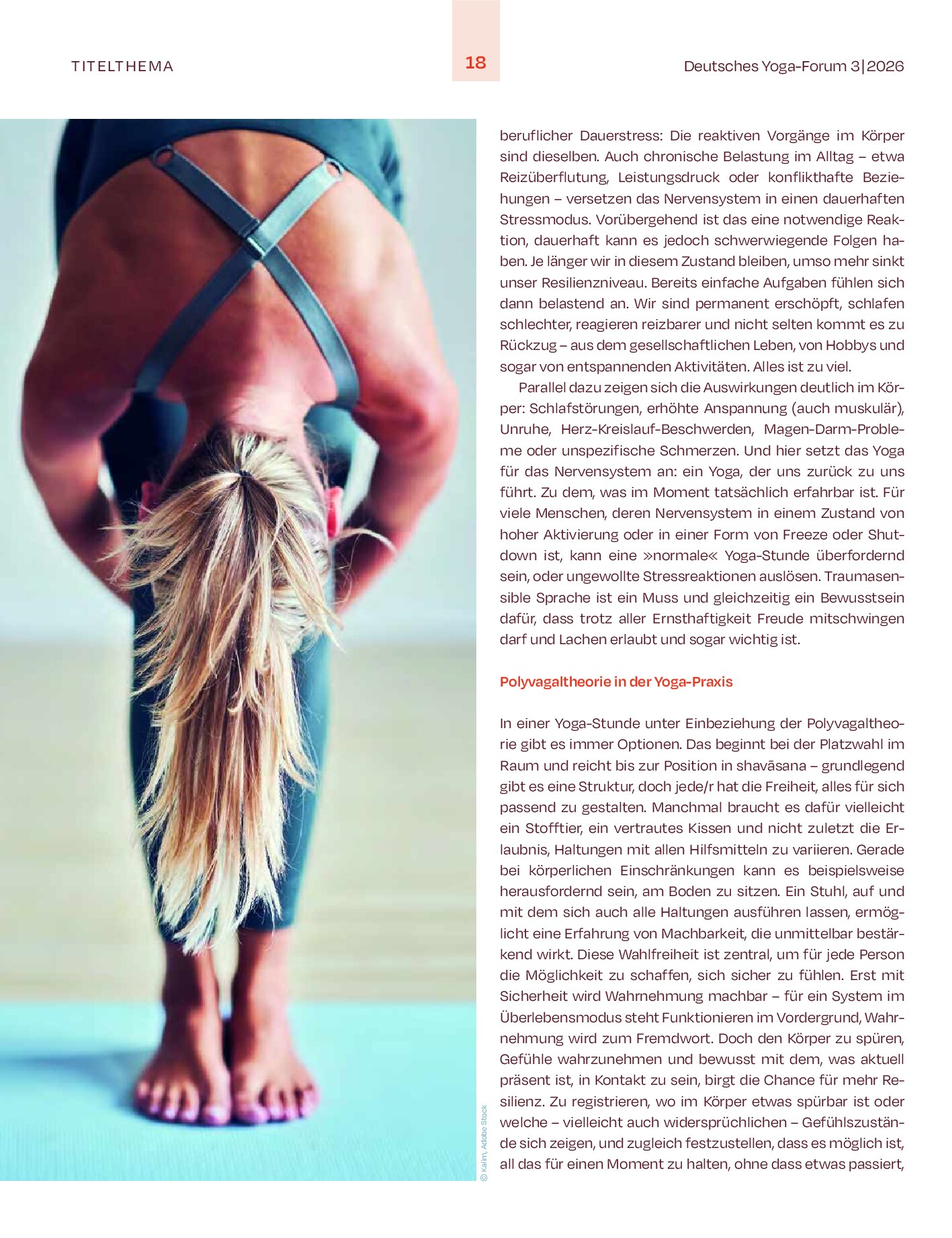 Vorschauseite 3: Yoga im Kontext der Polyvagaltheorie
