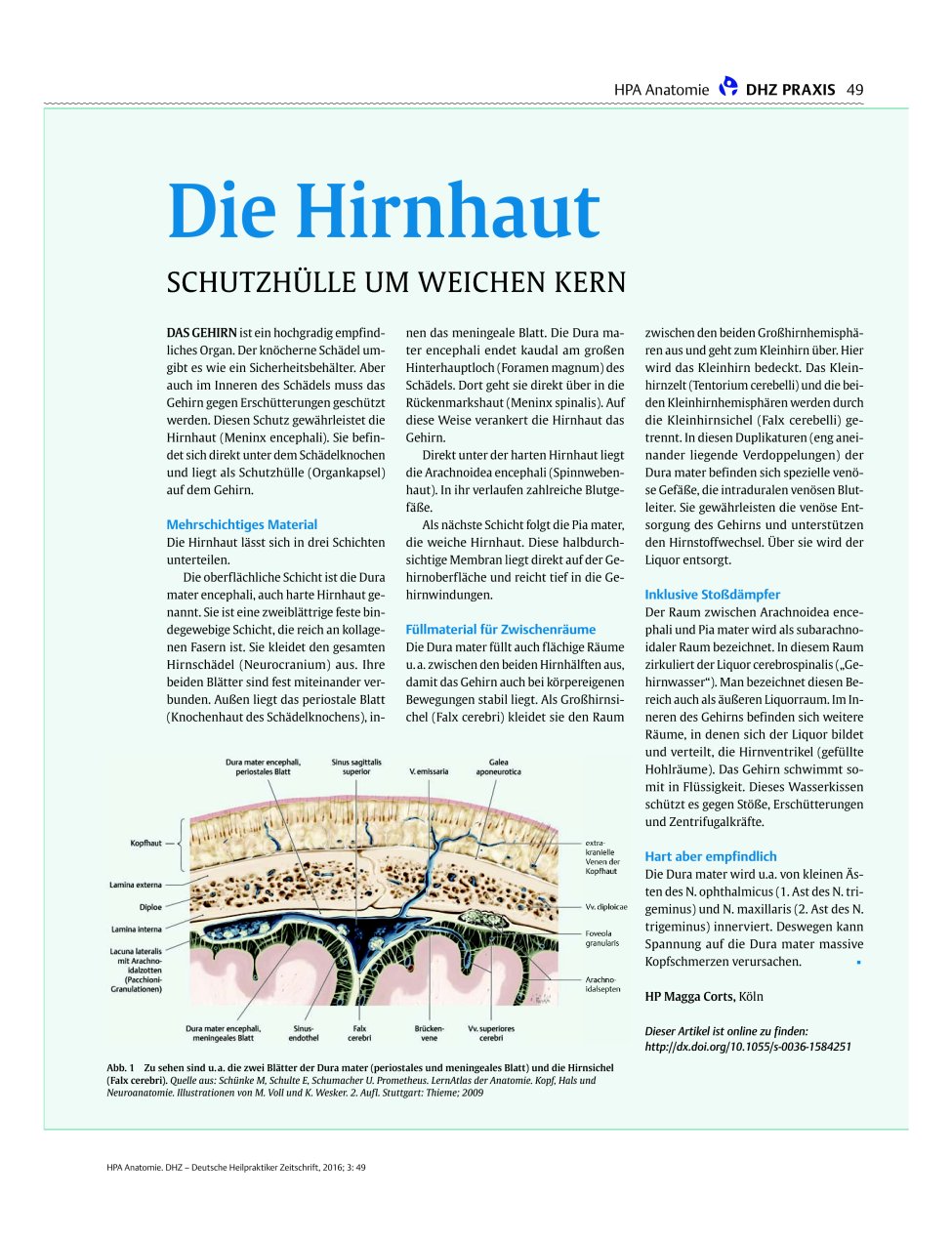 Vorschauseite 1: Die Hirnhaut Schutzhülle Um Weichen Kern