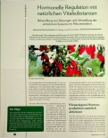 Vorschauseite 1: Hormonelle Regulation mit natürlichen Vitalstoffen: Behandlung von Störungen und Umstellung des endokrinen Systems mit Naturextrakten