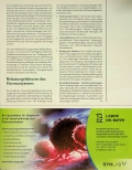 Vorschauseite 2: Hormonelle Regulation mit natürlichen Vitalstoffen: Behandlung von Störungen und Umstellung des endokrinen Systems mit Naturextrakten