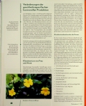 Vorschauseite 3: Hormonelle Regulation mit natürlichen Vitalstoffen: Behandlung von Störungen und Umstellung des endokrinen Systems mit Naturextrakten