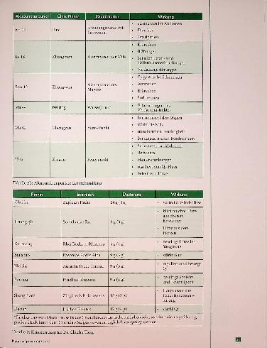 Vorschauseite 6: Wohlgefühl aus dem Inneren Mikrobiom Darm und seine Aufgaben
