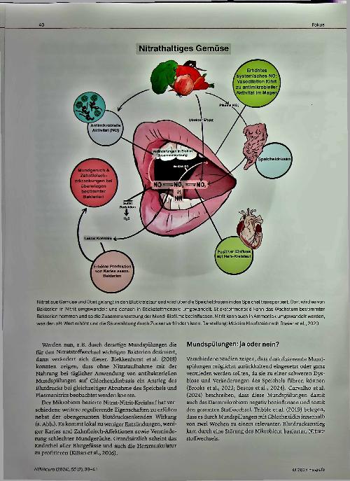 Vorschauseite 3: Alkoholische Mundspülungen und das Mikrobiom - Ein kritischer Blick auf die Mundhygiene im Altersund Pflegeheim
