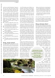 Vorschauseite 3: Stresslindernd, stimmungsaufhellend und immunsystemstärkend: Waldbaden.