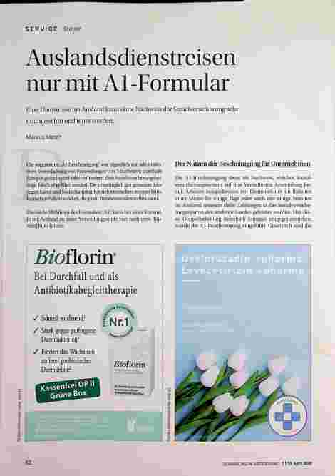 Vorschauseite 1: Auslandsdienstreisen nur mit AL-Formular