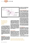 Vorschauseite 3: Die Klitoris - die immer noch unbekannte Schöne?