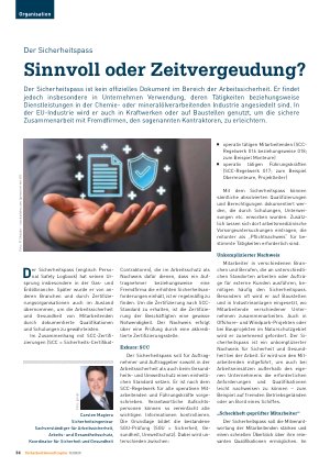 Vorschauseite 1: Der Sicherheitspass Sinnvoll oder Zeitvergeudung?