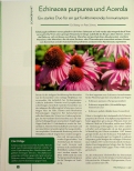 Vorschauseite 1: Echinacea purpurea und Acerola: Ein starkes Duo für ein gut funktionierendes Immunsystem