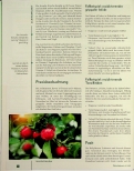 Vorschauseite 3: Echinacea purpurea und Acerola: Ein starkes Duo für ein gut funktionierendes Immunsystem
