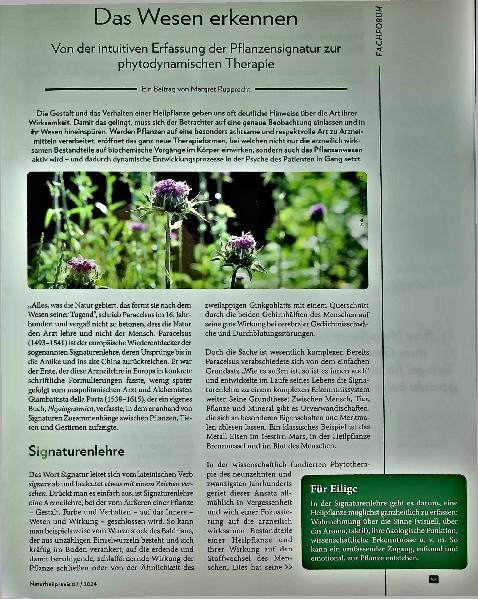 Vorschauseite 1: Das Wesen erkennen: Von der intuitiven Erfassung der Pflanzensignatur zur phytodynamischen Therapie