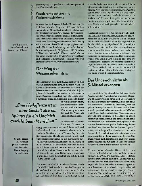 Vorschauseite 2: Das Wesen erkennen: Von der intuitiven Erfassung der Pflanzensignatur zur phytodynamischen Therapie