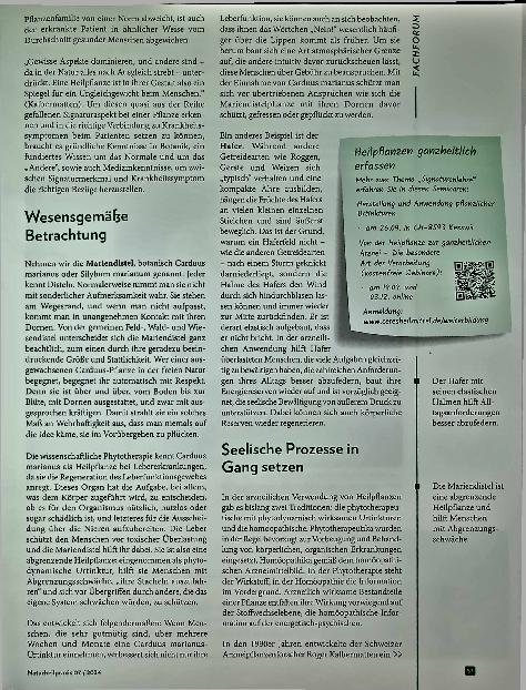 Vorschauseite 3: Das Wesen erkennen: Von der intuitiven Erfassung der Pflanzensignatur zur phytodynamischen Therapie