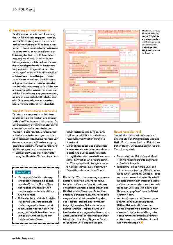 Vorschauseite 2: Das neue Formular zur Verordnung häuslicher Krankenpflege.