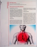 Vorschauseite 1: Bewegungstraining bei Bronchiektasen