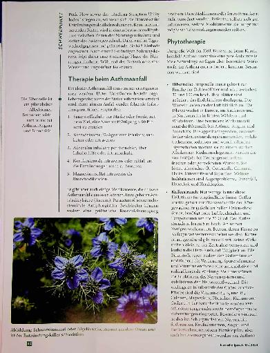 Vorschauseite 3: Wenn die Luft knapp wird: Asthma bronchiale in der ganzheitlichen Praxis