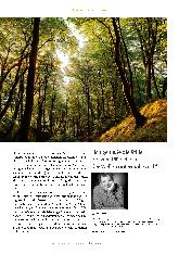 Vorschauseite 4: Spaziergang auf Rügen