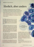 Vorschauseite 1: Ähnlich, aber anders: Humane Affenpocken