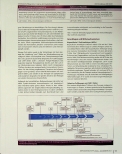 Vorschauseite 2: Immuntherapie: Entwicklungsgeschichte und Wirkmechanismen