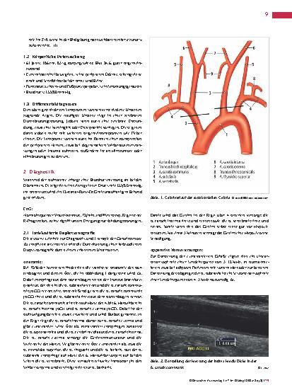 Vorschauseite 2: Scherben bringen Glück – oder eine Diagnose!