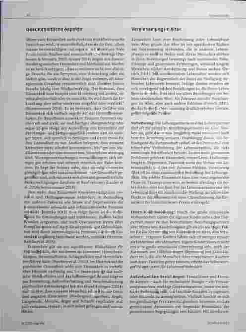 Vorschauseite 2: Wenn Lärm schon als Trost gilt