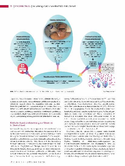 Vorschauseite 3: Patienten, Krankenhäuser und Gesundheitsökonomie durch nosokomiale Infektionen erheblich belastet - Ergebnisse einer globalen Untersuchung