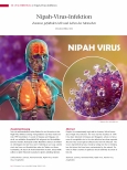 Vorschauseite 1: Nipah-Virus-Infektion: Zoonose gefährdet Leib und Leben des Menschen