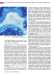 Vorschauseite 3: Pathophysiologie und Diagnostik des Magens und seiner Erkrankungen (Teil 2)