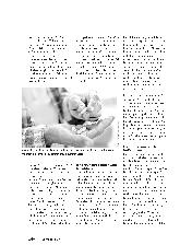 Vorschauseite 3: Histaminunverträglichkeit gut meistern