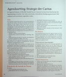 Vorschauseite 1: Agenda-Setting-Strategie der Caritas