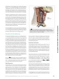 Vorschauseite 2: Chirurgie des Mundhöhlenkarzinoms – Resektion und Rekonstruktion