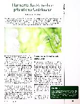 Vorschauseite 1: Harmonie der Mitte dank pflanzlicher Urtinkturen