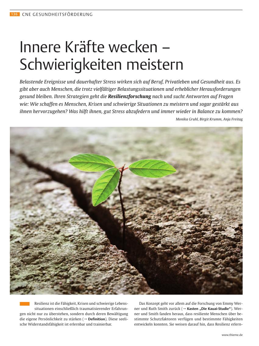 Vorschauseite 1: Innere Kräfte wecken ? Schwierigkeiten meistern