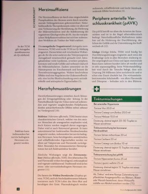 Vorschauseite 3: Grüne Impulse Tinkturen aus TCM und TEM bei Herzkrankheiten
