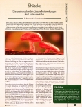 Vorschauseite 1: Shiitake: Die beeindruckenden Gesundheitswirkungen des Lentinus edodes