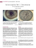 Vorschauseite 1: Schimmelpilze Teil 1: Dematiaceae Auch „Schwärzepilze“ genannt