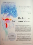 Vorschauseite 1: Ähnlich und doch verschieden