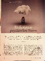 Vorschauseite 1: Risikofaktor psychischer Stress
