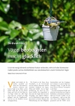 Vorschauseite 1: Birdwatching Vögel beobachten macht glücklich