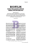 Vorschauseite 2: Biofilm - eine vielschichtige Herausforderung